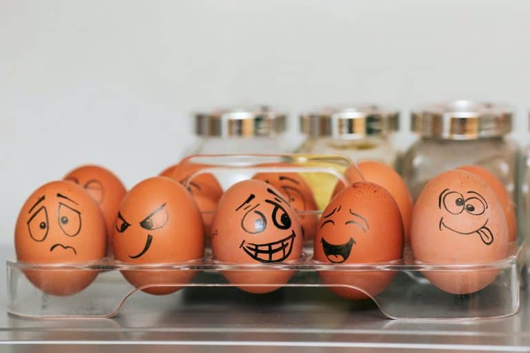 Toddler Egg Carton Activities